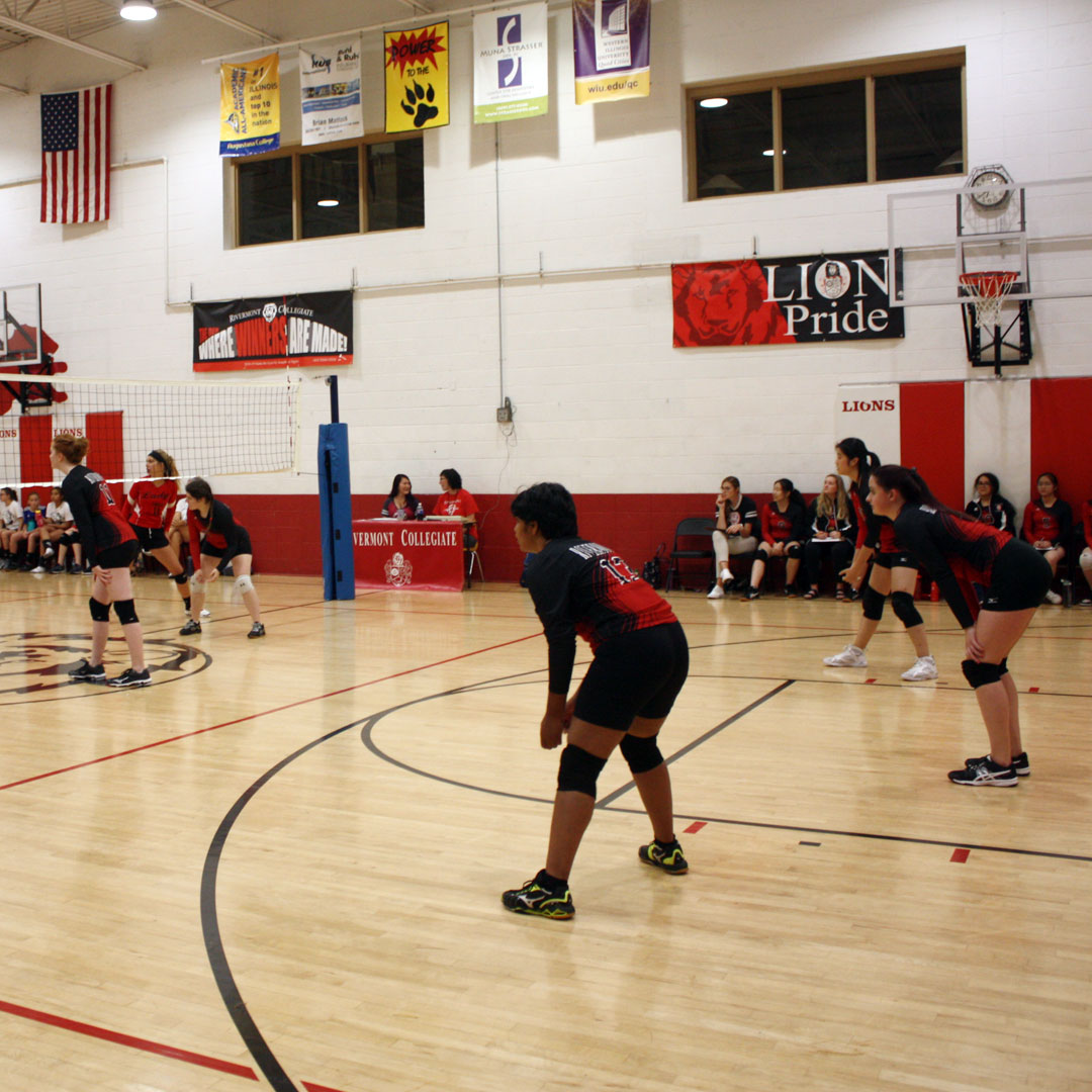 volleyball Volleyball image