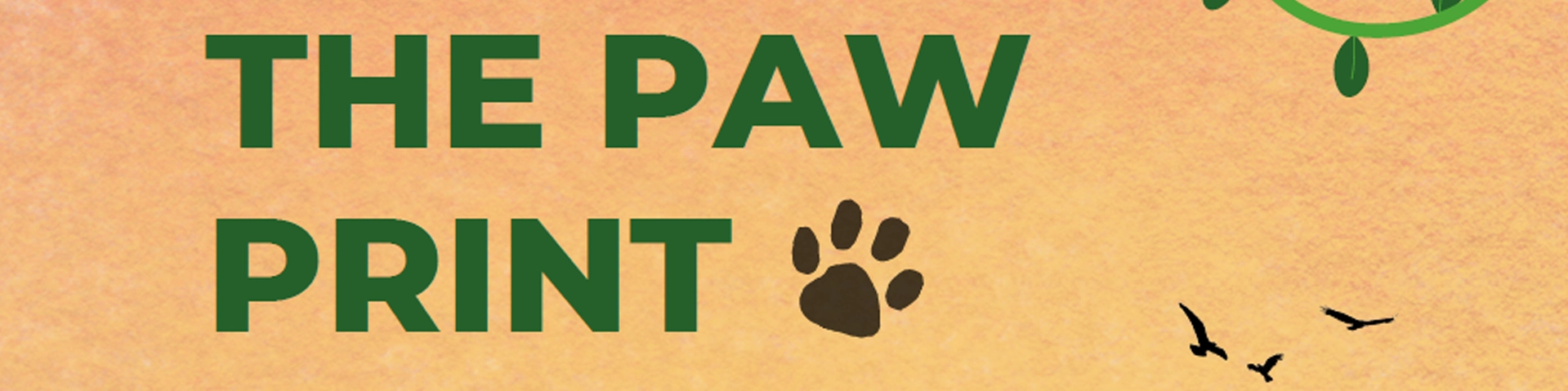 paw-print-fullwidth-header
